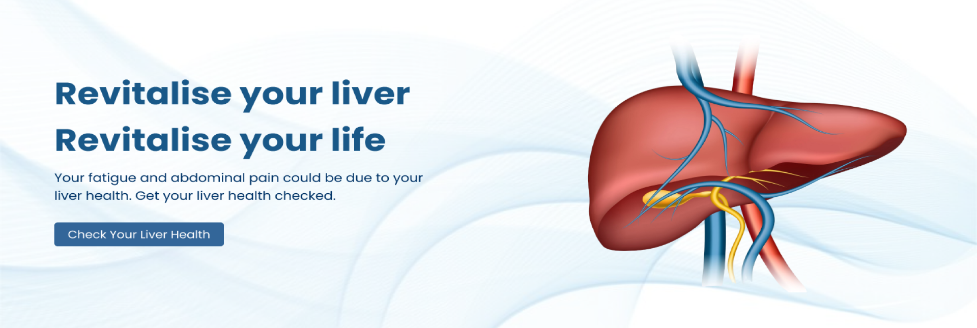fatty liver